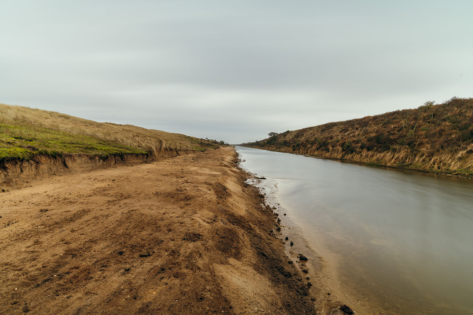 Herstel flora en fauna Amsterdamse Waterleidingduinen
