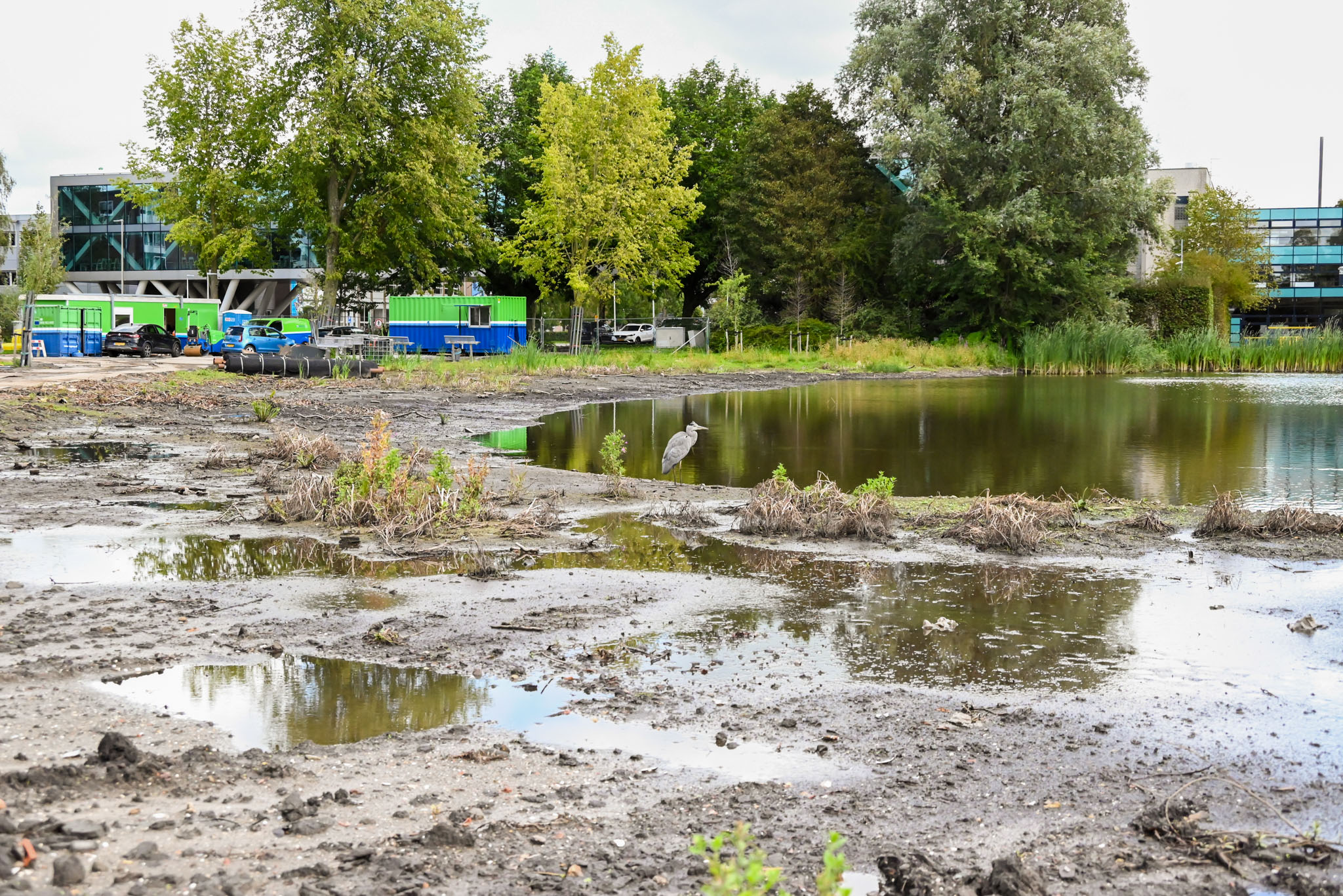 Herinrichting Kooimanpark Purmerend