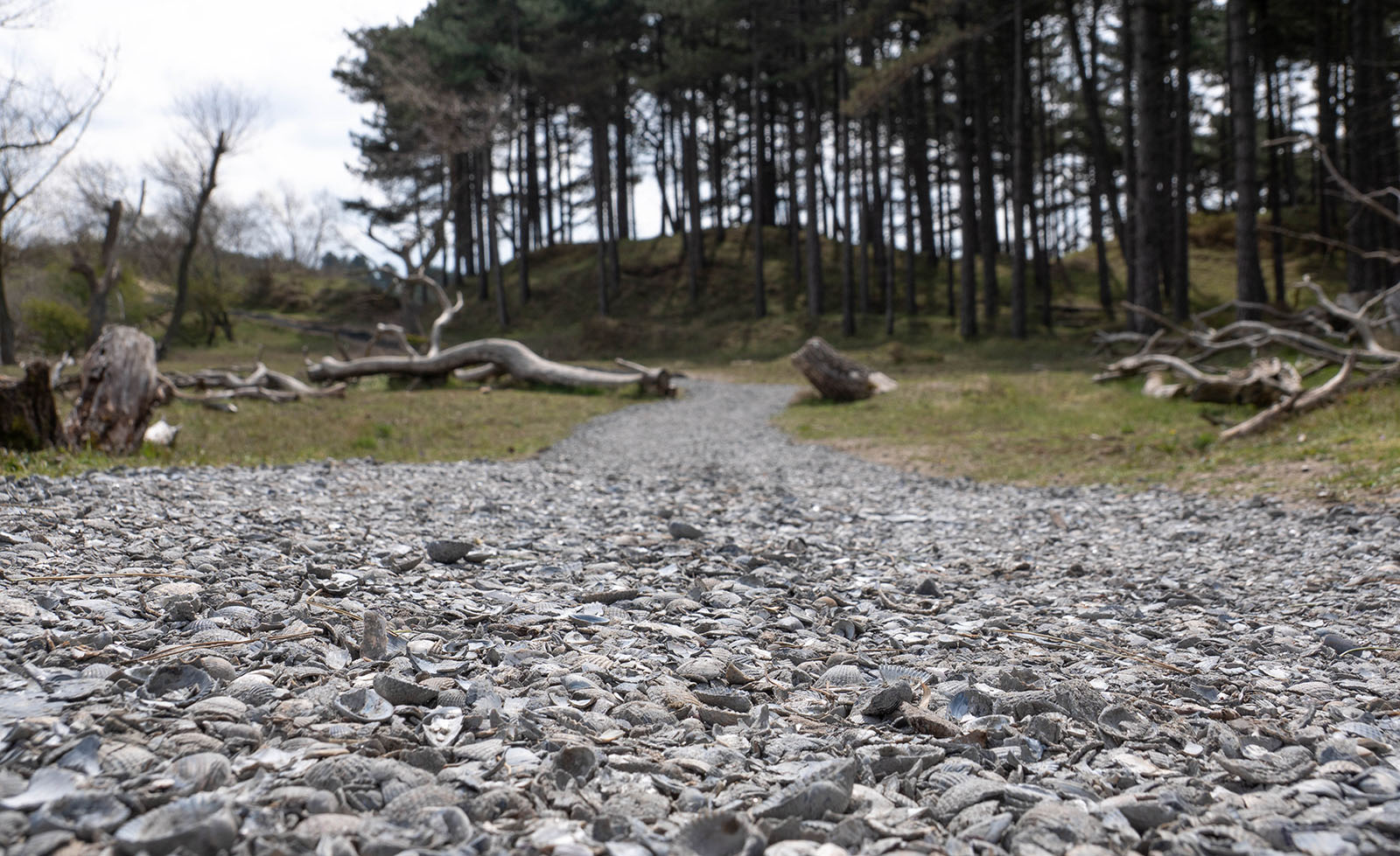 Herstel wandelpaden duingebied