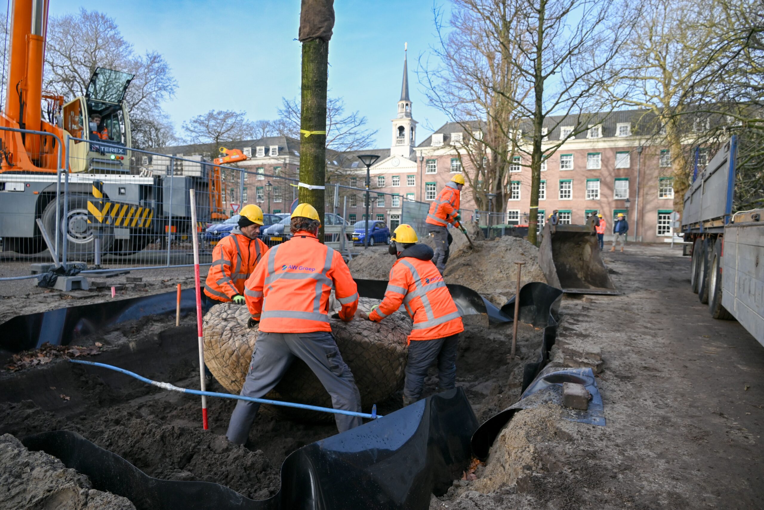 Boom planten