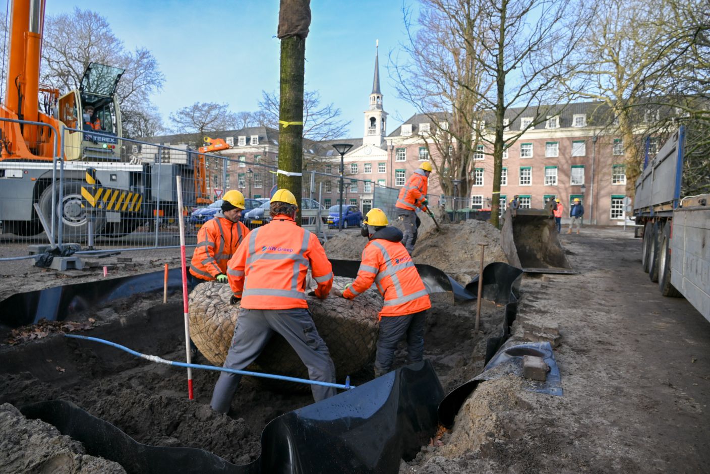 AW groep plant een boom.